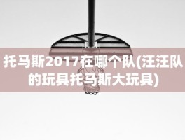 托马斯2017在哪个队(汪汪队的玩具托马斯大玩具)
