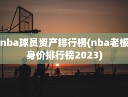 nba球员资产排行榜(nba老板身价排行榜2023)