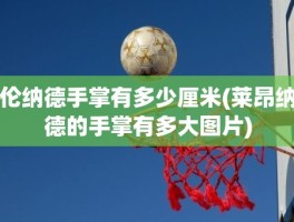 伦纳德手掌有多少厘米(莱昂纳德的手掌有多大图片)
