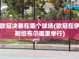 欧冠决赛在哪个球场(欧冠在伊斯坦布尔哪里举行)