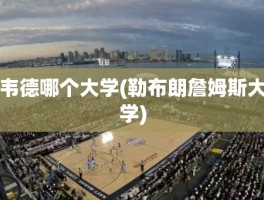 韦德哪个大学(勒布朗詹姆斯大学)