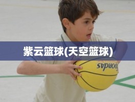 紫云篮球(天空篮球)