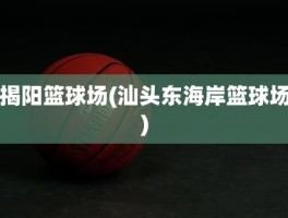 揭阳篮球场(汕头东海岸篮球场)