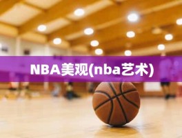 NBA美观(nba艺术)