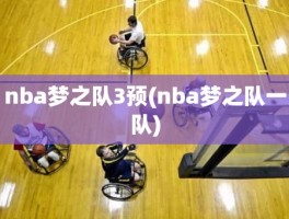 nba梦之队3预(nba梦之队一队)