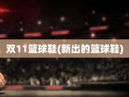 双11篮球鞋(新出的篮球鞋)