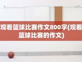 观看篮球比赛作文800字(观看篮球比赛的作文)