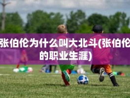 张伯伦为什么叫大北斗(张伯伦的职业生涯)