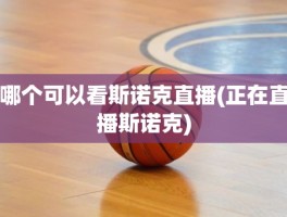哪个可以看斯诺克直播(正在直播斯诺克)