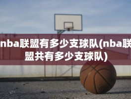 nba联盟有多少支球队(nba联盟共有多少支球队)