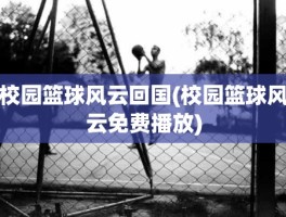 校园篮球风云回国(校园篮球风云免费播放)