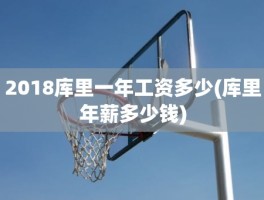 2018库里一年工资多少(库里年薪多少钱)