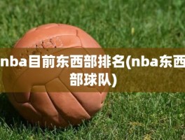 nba目前东西部排名(nba东西部球队)