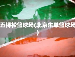 五棵松篮球场(北京东单篮球场)