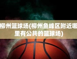 柳州篮球场(柳州鱼峰区附近哪里有公共的篮球场)