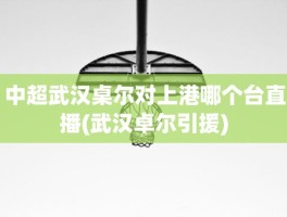 中超武汉桌尔对上港哪个台直播(武汉卓尔引援)