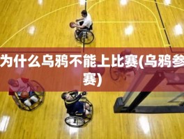 为什么乌鸦不能上比赛(乌鸦参赛)