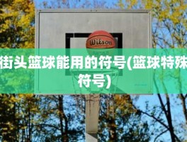 街头篮球能用的符号(篮球特殊符号)