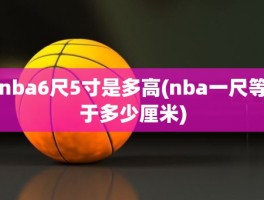 nba6尺5寸是多高(nba一尺等于多少厘米)