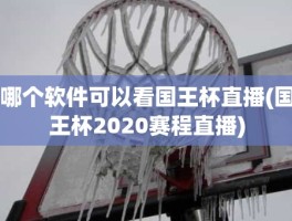 哪个软件可以看国王杯直播(国王杯2020赛程直播)