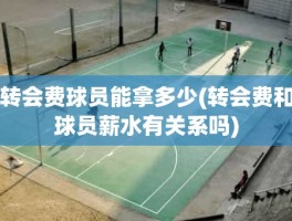 转会费球员能拿多少(转会费和球员薪水有关系吗)