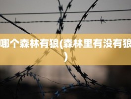 哪个森林有狼(森林里有没有狼)