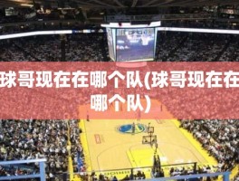 球哥现在在哪个队(球哥现在在哪个队)