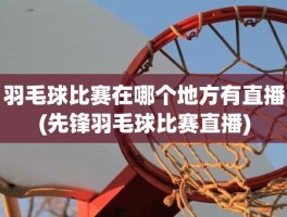 羽毛球比赛在哪个地方有直播(先锋羽毛球比赛直播)