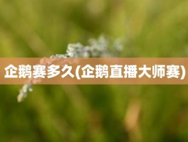 企鹅赛多久(企鹅直播大师赛)
