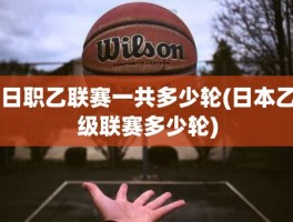 日职乙联赛一共多少轮(日本乙级联赛多少轮)