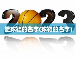 篮球鞋的名字(球鞋的名字)