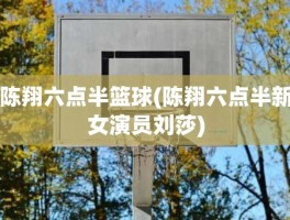 陈翔六点半篮球(陈翔六点半新女演员刘莎)