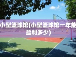 小型篮球馆(小型篮球馆一年能盈利多少)