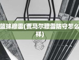 篮球穆雷(贾马尔穆雷防守怎么样)