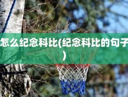 怎么纪念科比(纪念科比的句子)