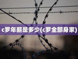 c罗年薪是多少(c罗全部身家)