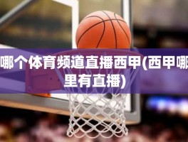 哪个体育频道直播西甲(西甲哪里有直播)