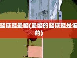 篮球鞋最酷(最酷的篮球鞋是谁的)