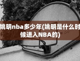 姚明nba多少年(姚明是什么时候进入NBA的)