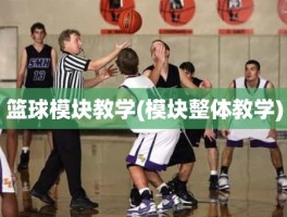 篮球模块教学(模块整体教学)