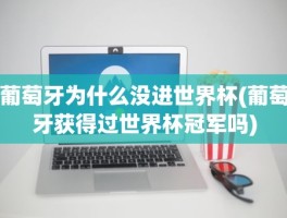 葡萄牙为什么没进世界杯(葡萄牙获得过世界杯冠军吗)