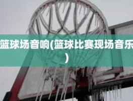 篮球场音响(篮球比赛现场音乐)