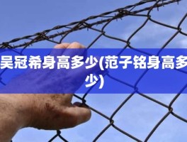 吴冠希身高多少(范子铭身高多少)