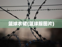 篮球衣裙(篮球服图片)