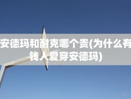 安德玛和耐克哪个贵(为什么有钱人爱穿安德玛)