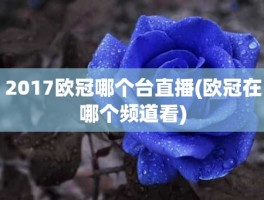 2017欧冠哪个台直播(欧冠在哪个频道看)