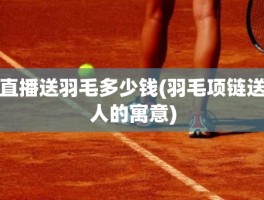 直播送羽毛多少钱(羽毛项链送人的寓意)