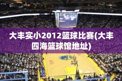 大丰实小2012篮球比赛(大丰四海篮球馆地址) 大丰实小2012篮球比赛(大丰四海篮球馆地址)