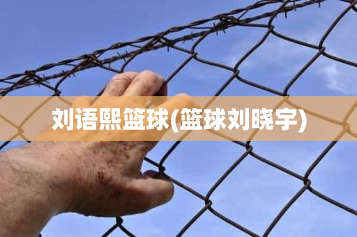 刘语熙篮球(篮球刘晓宇) 刘语熙篮球(篮球刘晓宇)