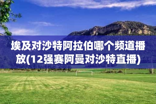 埃及对沙特阿拉伯哪个频道播放(12强赛阿曼对沙特直播) 埃及对沙特阿拉伯哪个频道播放(12强赛阿曼对沙特直播)